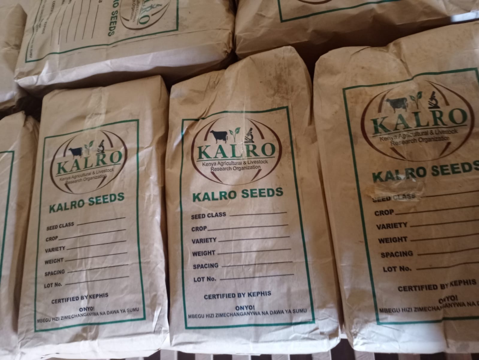 Farmers in Murang’a to get certified maize seed and fertilizer ahead of short rains