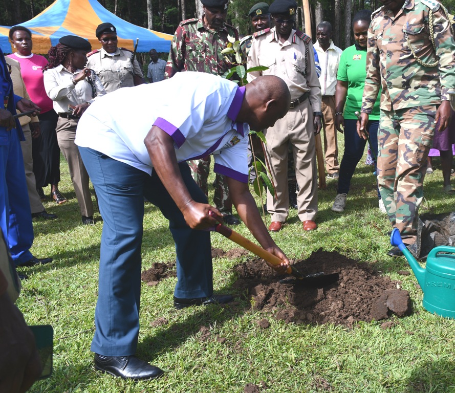 Secretary of Administration in the State Department for Gender and Affirmative Action Moses Ivuto backfills a tree hole at Lumama area of Lugari forest in Lugari Sub County, where over 3000 indigenous tree seedlings were planted.