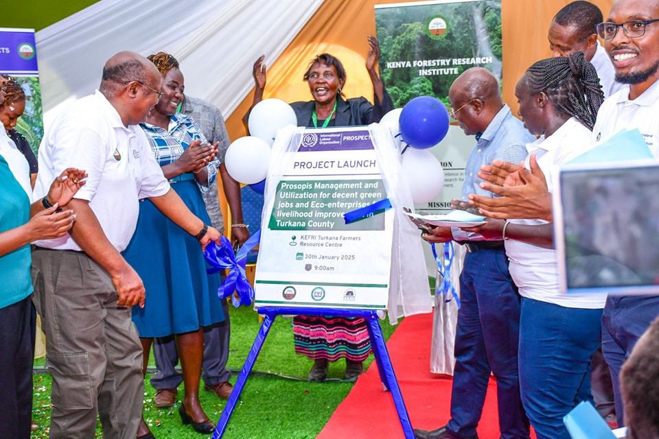 Turkana Deputy Governor Dr John Erus (third left) during the launch of a project to  sustainably manage Prosopis Juliflora in Turkana West. PHOTO/PETER GITONGA.