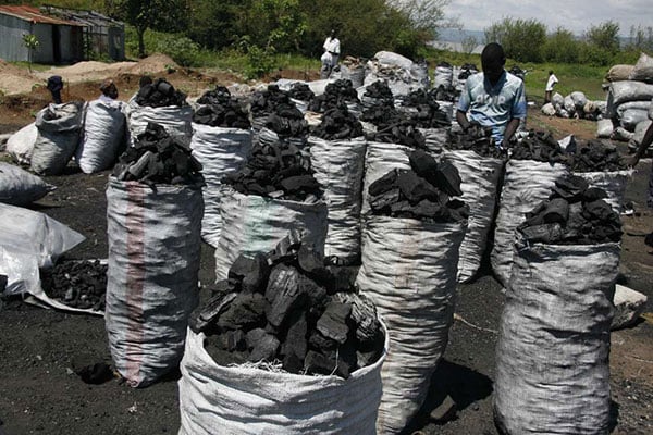 Image of a charcoal producer -Courtesy of the Ministry of Environment and Forestry