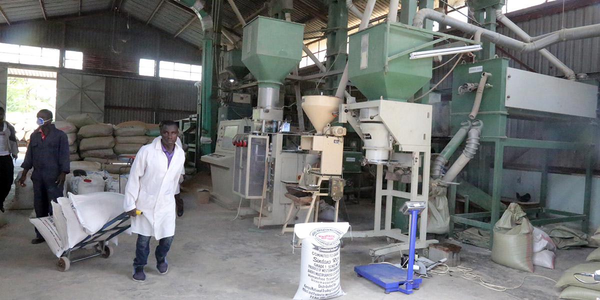 A section of the newly installed Ahero rice milling plant.