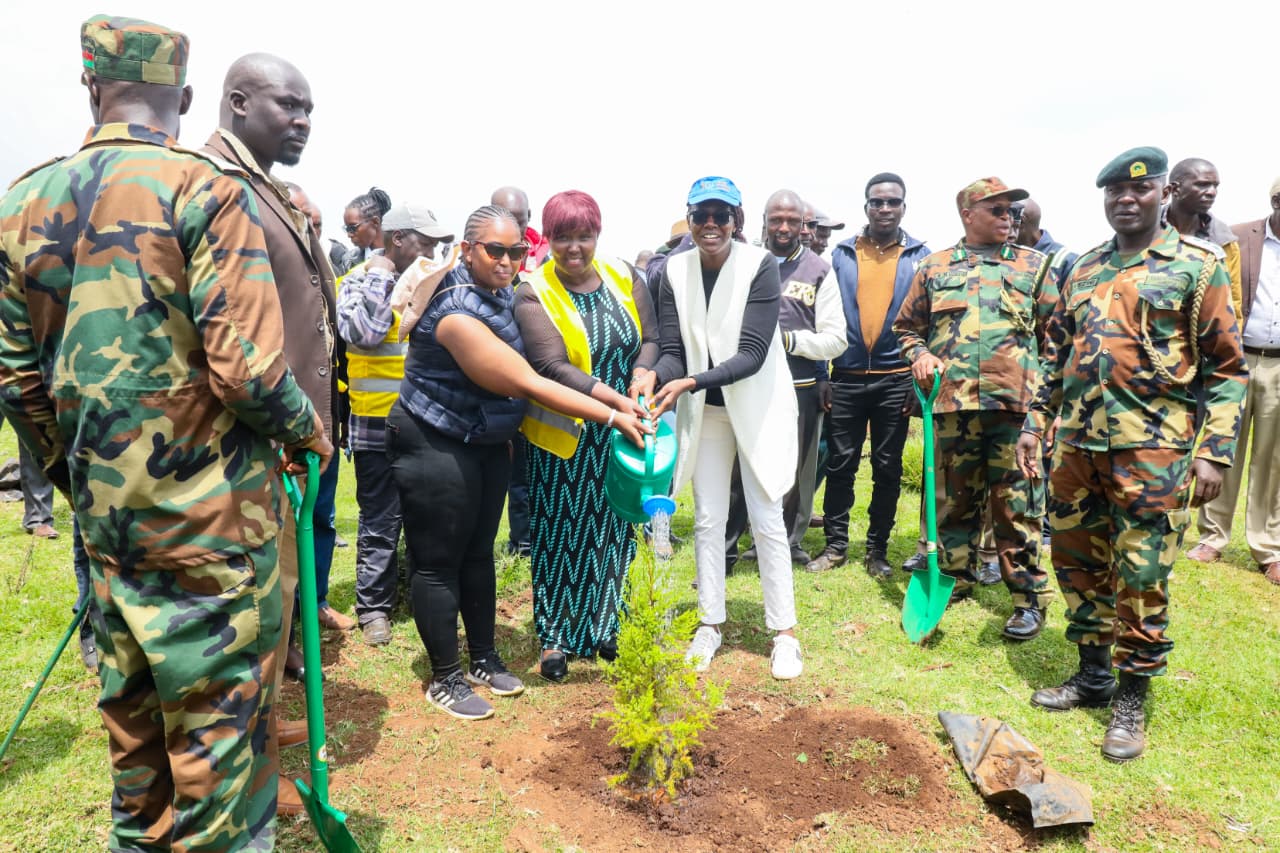 Environmental stakeholders planting trees at the Mau Forest Complex.