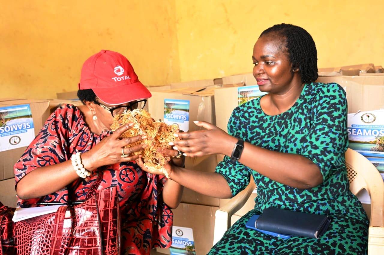 Nancy Gitonga, CEO of the African Women Development Program (L), with Celestine Rono, Director of Corporate Services, Kenya Export Promotion and Branding Agency holding seaweed.