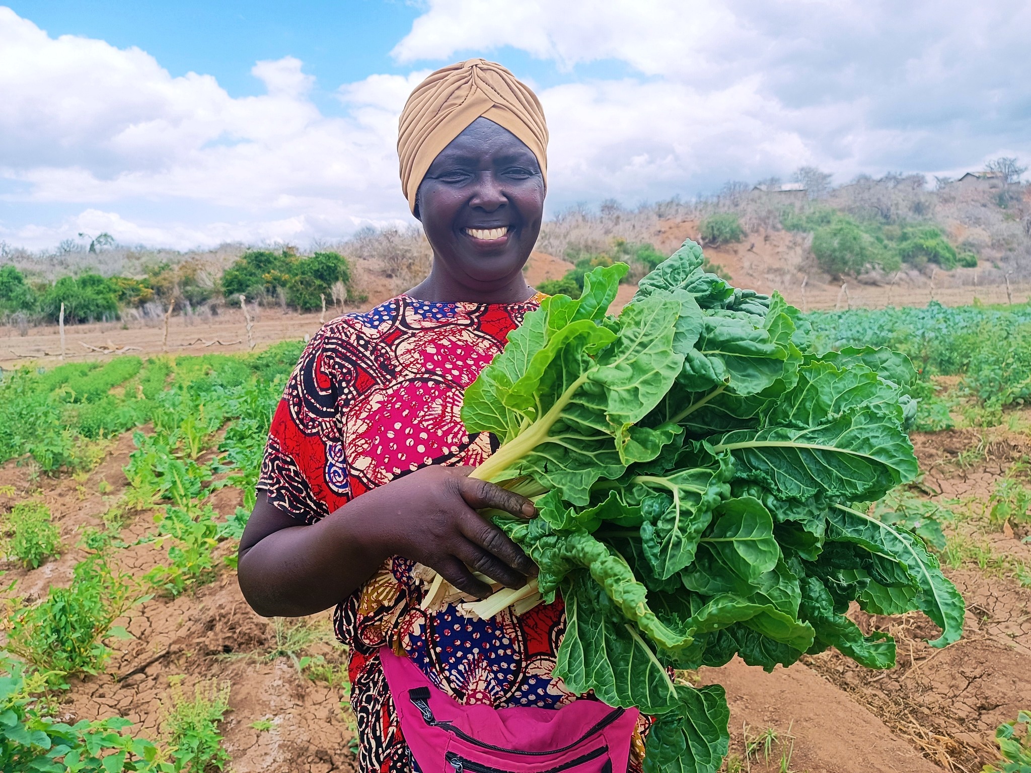 A farmer at Kosokoni irrigation scheme. Local farmers contend the irrigation project supported by CDA has helped local farmers continue with their farming activities all year round
