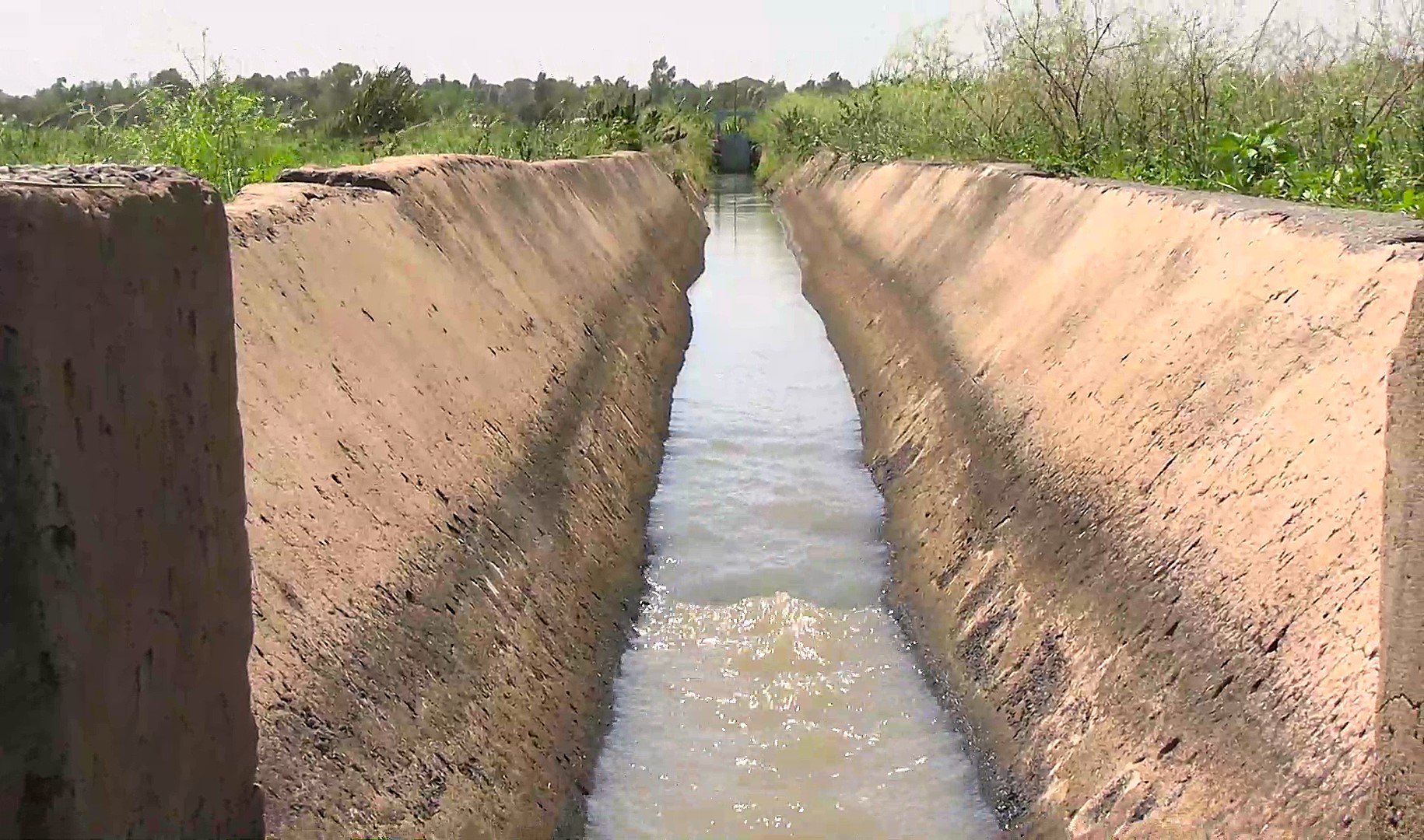 Section of Mwea rice fields 