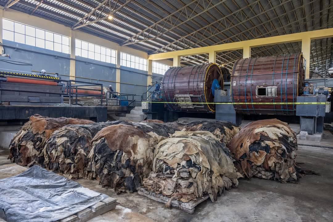 Operations at the Ewaso Nyiro Leather Tannery in Narok