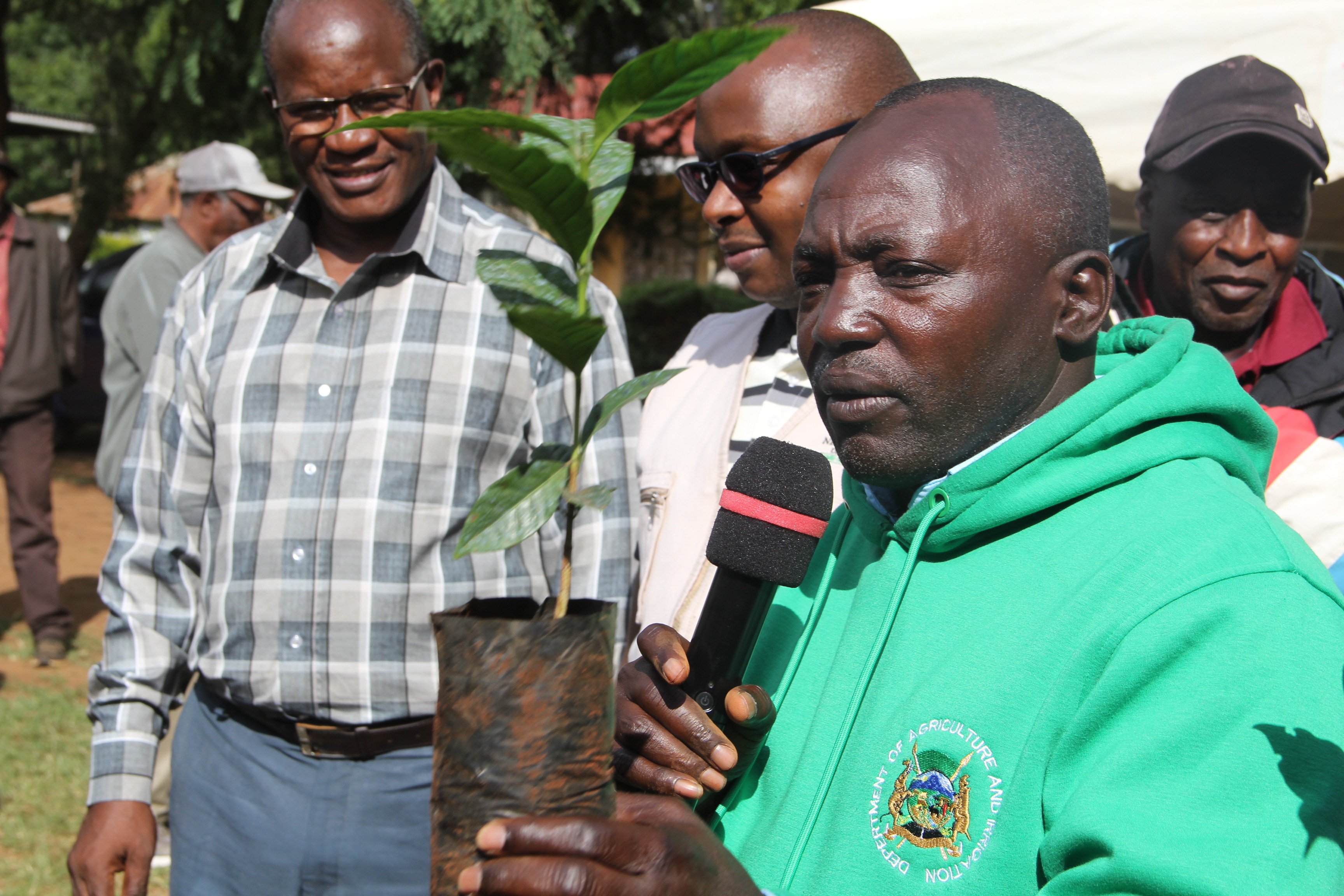 Laikipia County Governor, Joshua Irungu, holding a coffee seedling during an issuance exercise in Kinamba. Over 20,000 seedlings were given out to farmers.