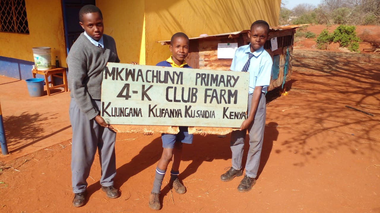 Mkwachunyi Primary School pupils.