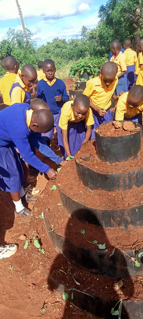 Mkwachunyi Primary School pupils.