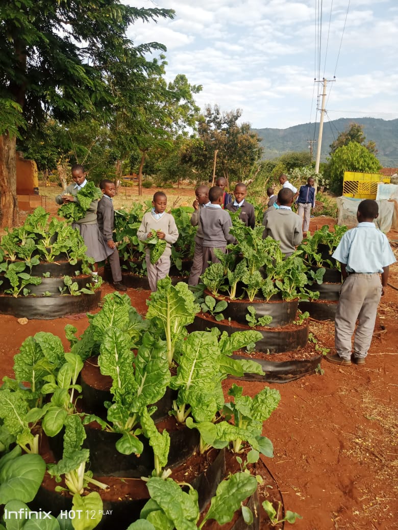 Mkwachunyi Primary School pupils.