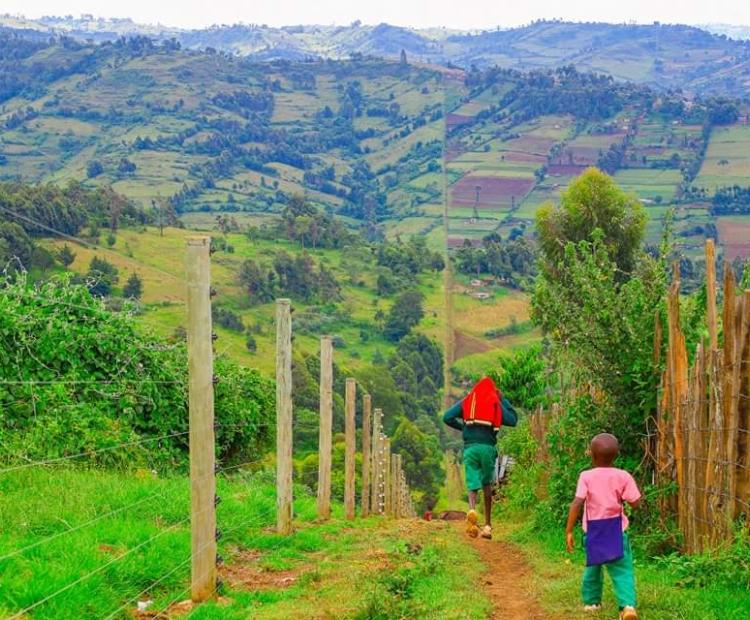 Kenya Towers Authority completes first 30km smart fence to prevent human-wildlife conflict completed in Maasai Mau Forest