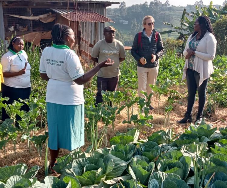 One. An organic farmer (Front) from Kangari, in Murang’a interacting with Walter Link of Now Partners Foundation (third right) and other agro-ecology stakeholders at her farm on September 16,2024