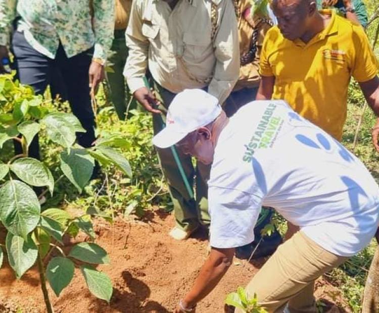 rincipal Secretary, State Department for Tourism, John Ololtua join participants in tree planting during the launch of the 'One Tourist, One Tree' campaign at Kajulu Forest in Kisumu County. Photo/Robert Ojwang' 