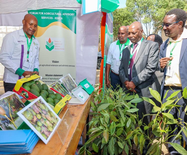 Ministry of Agriculture and Livestock Development Cabinet Secretary (CS) Dr Andrew Karanja (Second from Right) and KeFAAS CEO Peter Gitika (Right) visiting exhibition stands during the Forum for Agricultural Advisory Services - Kenya (KeFAAS) 2nd National Agricultural Extension Symposium. Photo/Joseph Ng’ang’a.