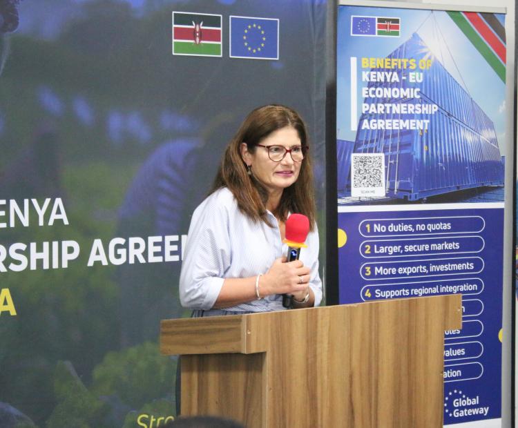 European Ambassador to Kenya Henriette Geiger speaking during the sensitisation forum of Kenya- European Union(EU) Economic Partnership Agreement (EPA) at Athi River Machakos county. Photo/Anne Kangero 