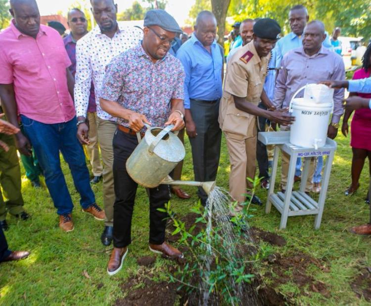 State Department for Interior Principal Secretary Dr Raymond Omollo waters a tree during a Chief's tree planting exercise. 