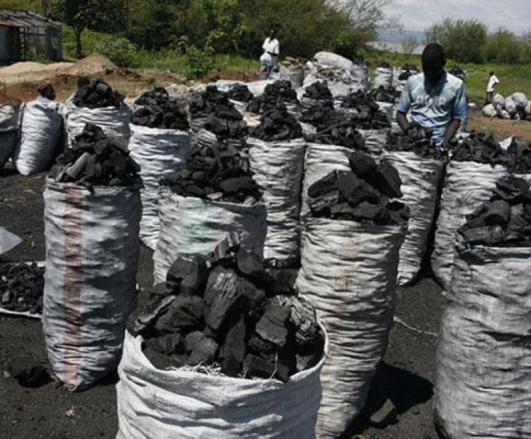 Image of a charcoal producer -Courtesy of the Ministry of Environment and Forestry