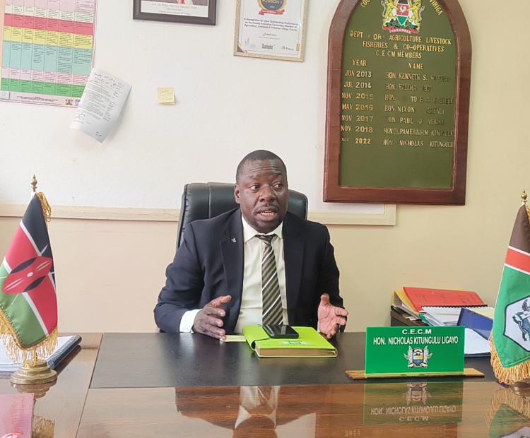 Hon Nicholas Kitungulu, the county executive committee member.