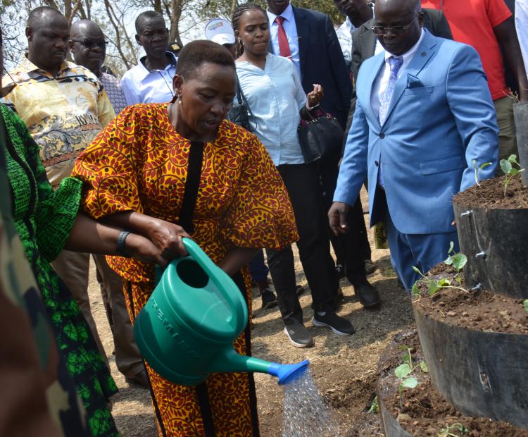 The First Lady Mama Rachel Ruto watering a kitchen garden at Bondo Kosiemo Primary school in Nyatike West Sub County. Photo/MAKOKHA KHAOYA