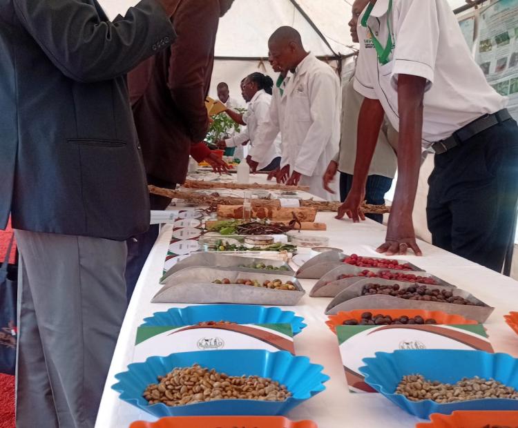 Farmers exchanging views at the exhibition of various coffee displays during the ARABIKA Project close-out meeting and the launch of the inaugural Coffee Training Center in Ruiru.