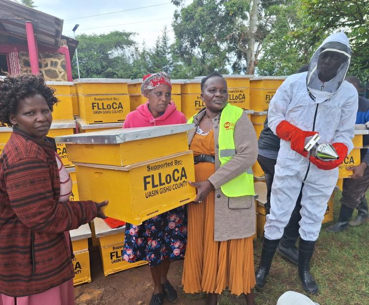 Kipsomba MCA Mary Gorreti, distributing beehives to farmers during a Financing Locally-Led Climate Action (FLLoCA) event in Kipsomba ward, Uasin Gishu county.