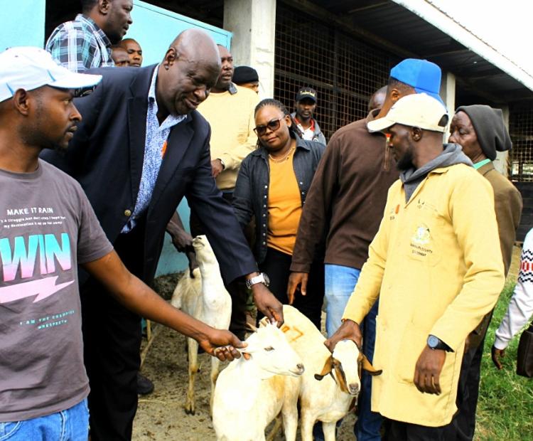 ajiado North Deputy County Commissioner Metrine Wafula and officials from the Ministry of Livestock issuing goats to the residents.