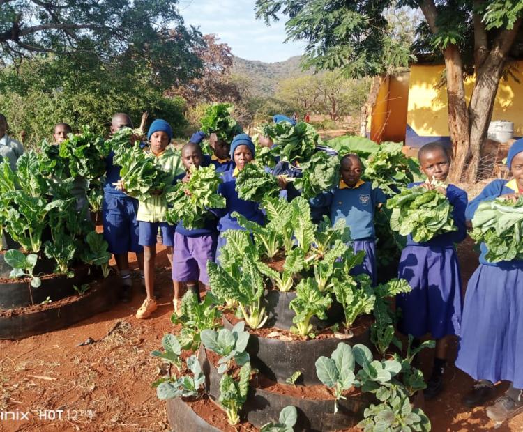 Mkwachunyi Primary School pupils.